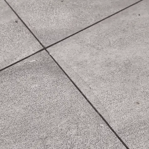 Encabezado